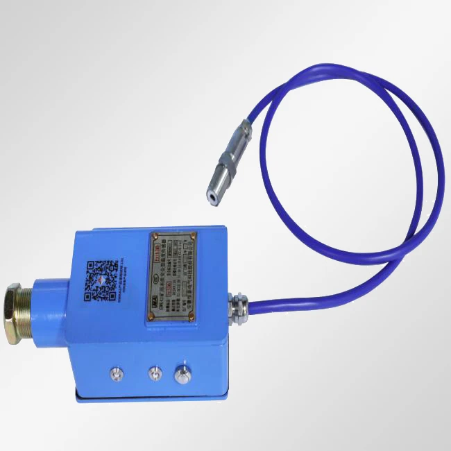 Intrinsically Safe Temperature Sensor Intrinsically Safe Temperature Sensor